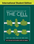 Molecular biology of the cell vignette