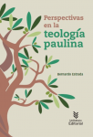Perspectivas en la teología paulina vignette