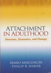 Attachment in adulthood vignette