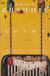 Shame vignette