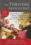 The thriving adolescent vignette