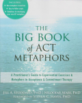 The big book of ACT metaphors vignette