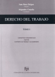 Conceptos fundamentales. Sujetos del derecho del trabajo. Contrato de trabajo vignette
