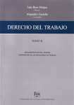 Reglamentación del trabajo. Terminación de las relaciones de trabajo vignette